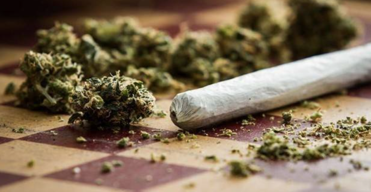 Il Cnr manda in fumo i “vantaggi” della Cannabis legale. Svelate tutte le fake news 1